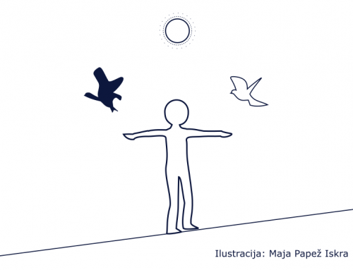 Vaja črna in bela ptica